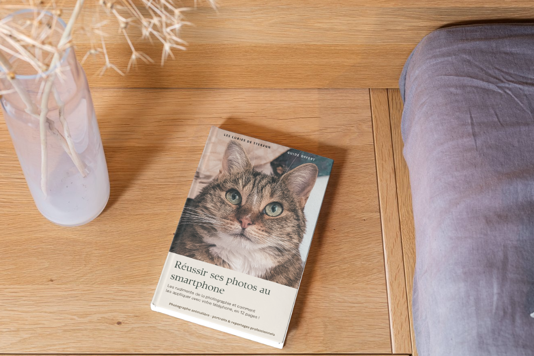 A book about smartphone photography with a cat on the cover rests on a wooden bedside table next to a vase.