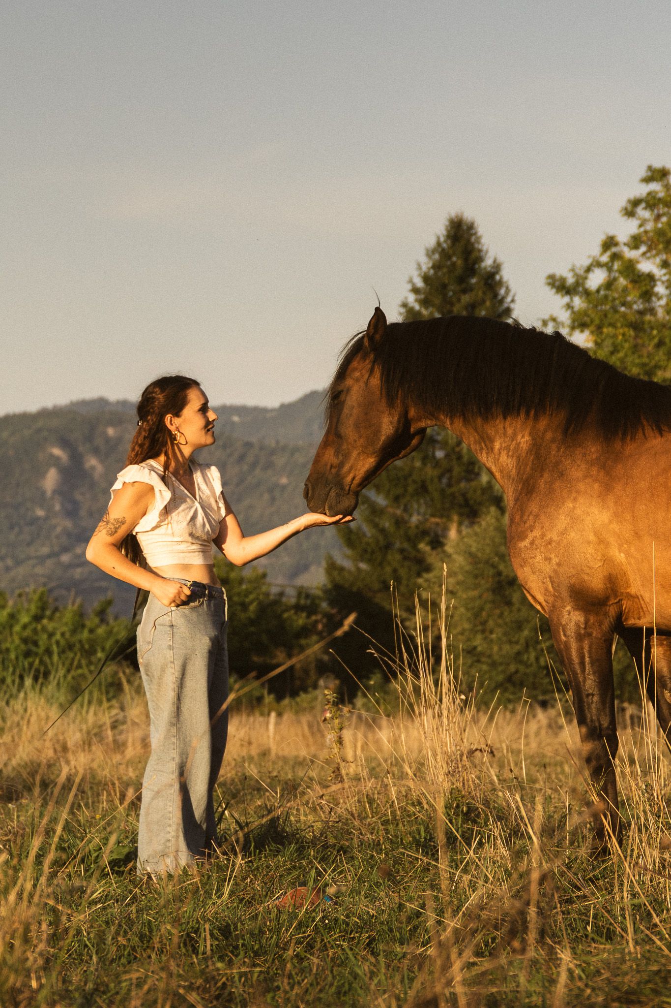 Woman feeding a brown horse by hand in a golden sunset field with mountain backdrop.