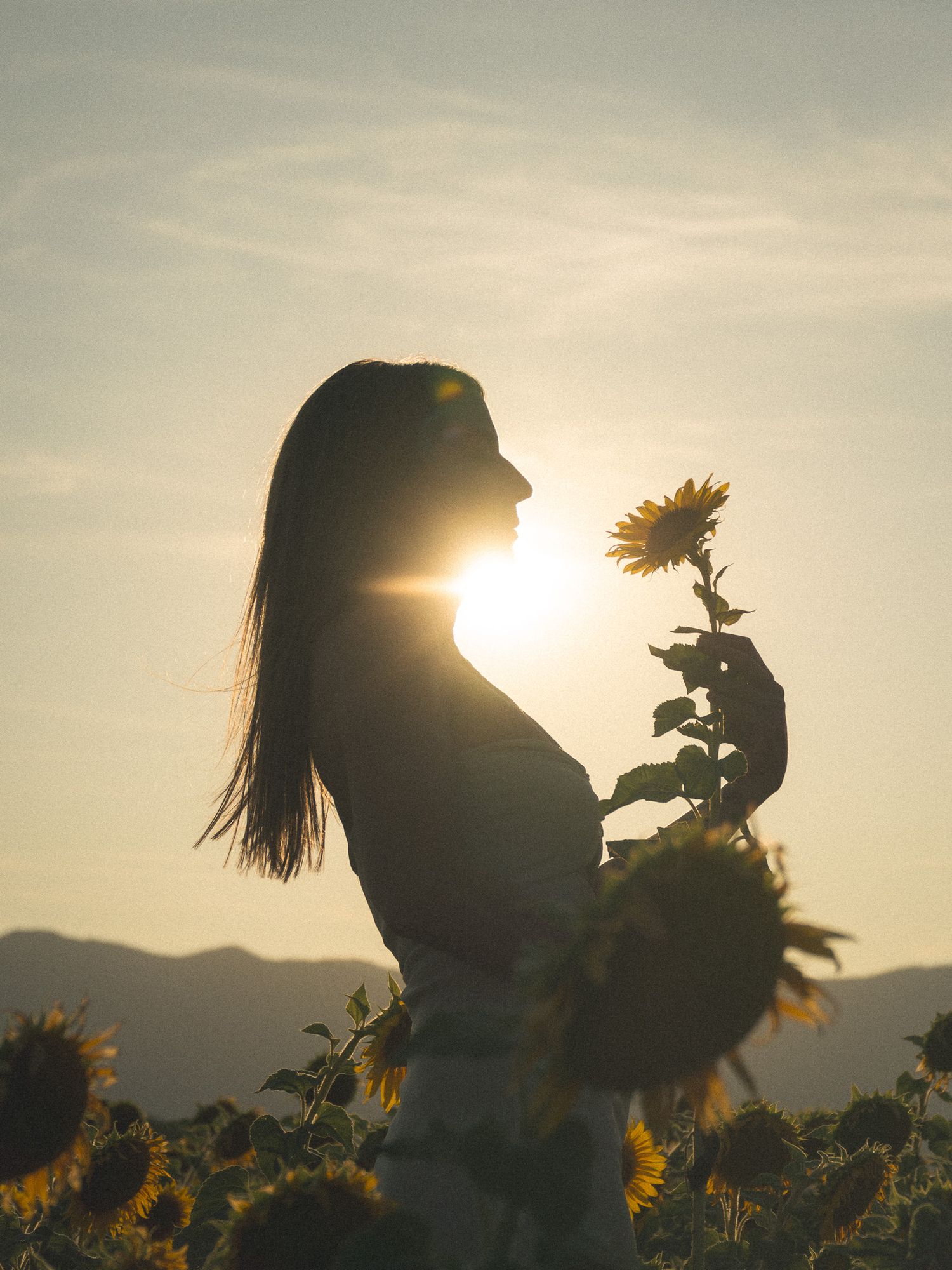 Woman holding a sunflower in silhouette against a golden sunset in a sunflower field.