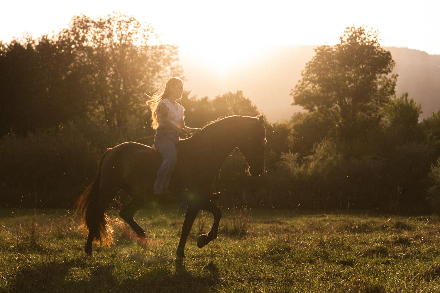 Woman riding a dark horse through a sunlit meadow with glowing golden light.