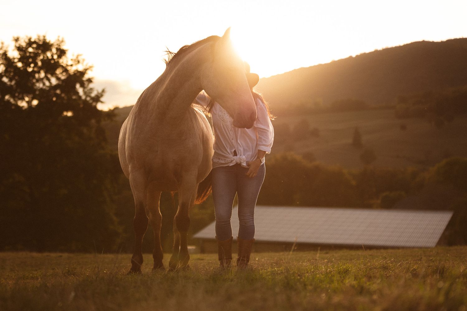 Woman embracing a white horse in a glowing golden sunset field with hills behind.