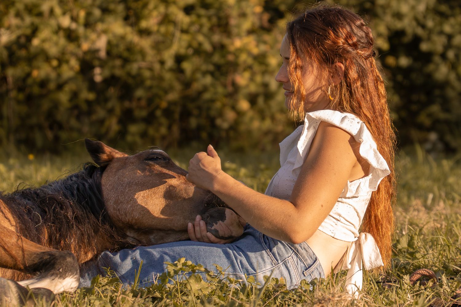 Portrait équin intime d'une femme assise dans l'herbe à côté de son cheval couché