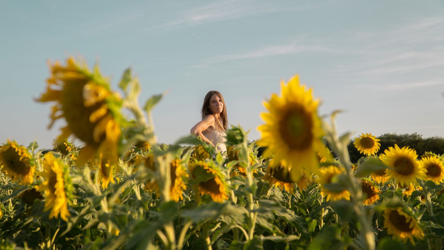 Portrait en lumière naturelle d'une femme au milieu d'un champ de tournesols