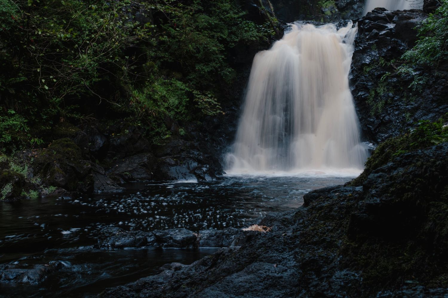 A powerful waterfall cascading over dark rocks surrounded by lush green forest foliage.