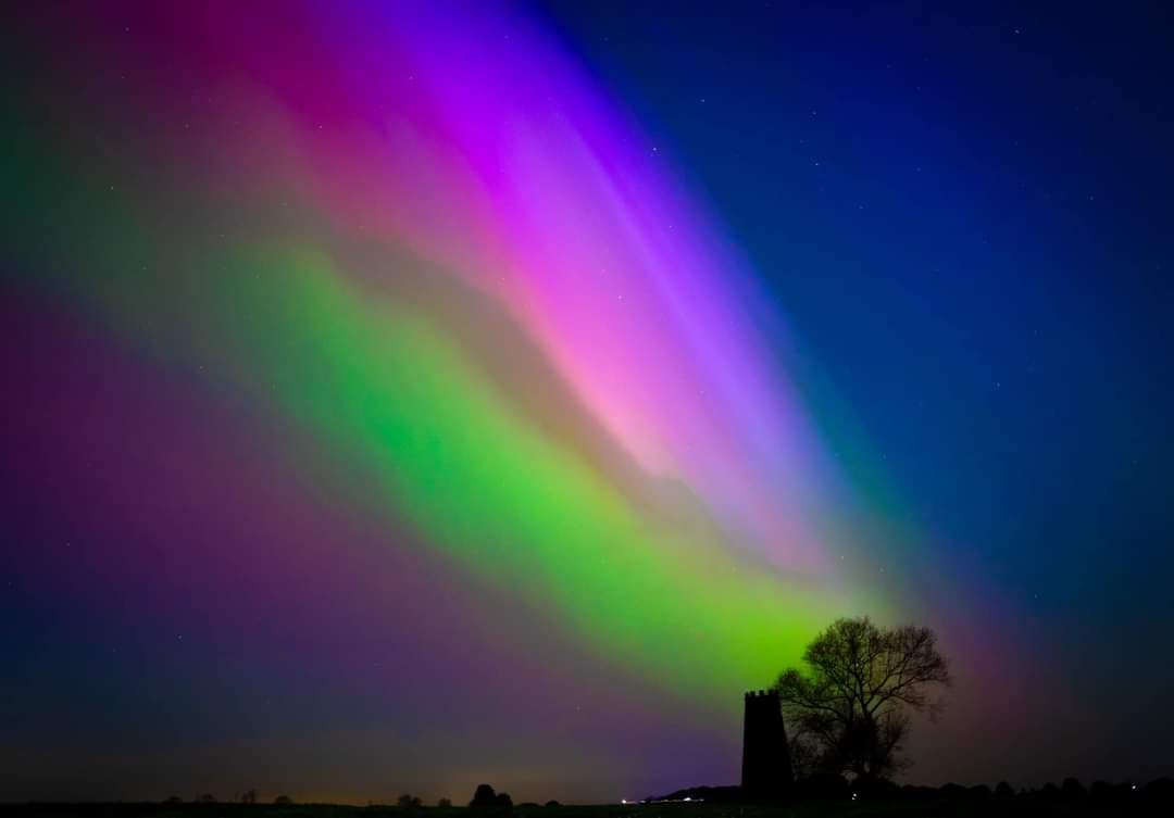 A stunning aurora borealis with vibrant pink, green and purple lights over a silhouetted tree and ruins.