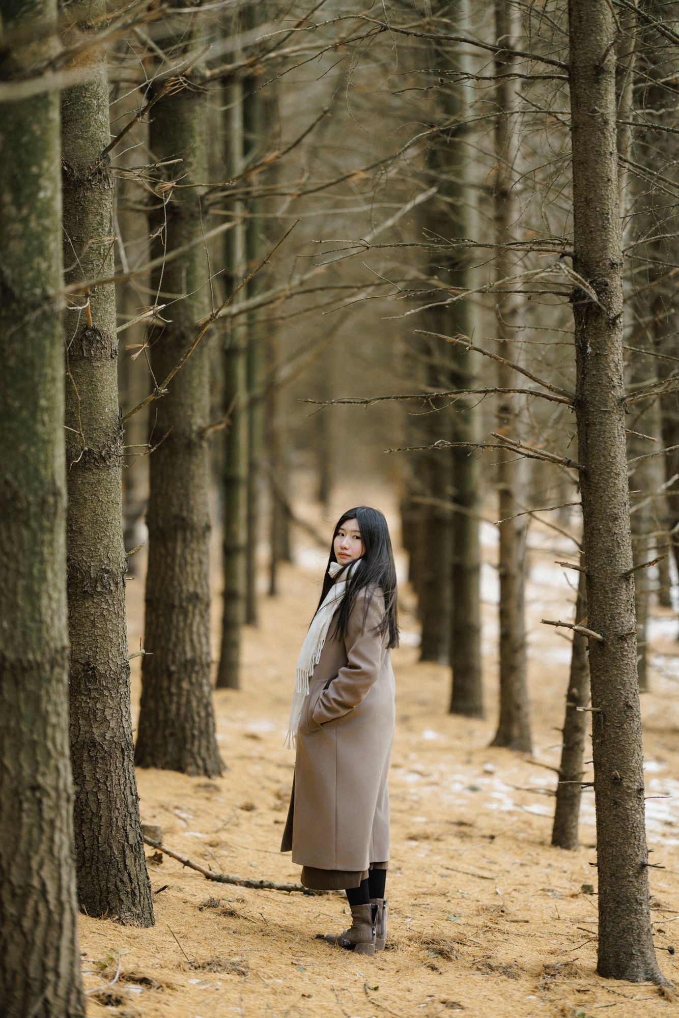 Engagement photography in Winter Toronto