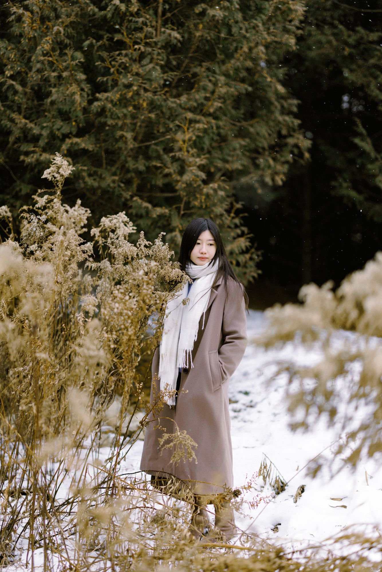 Engagement photography in Winter Toronto