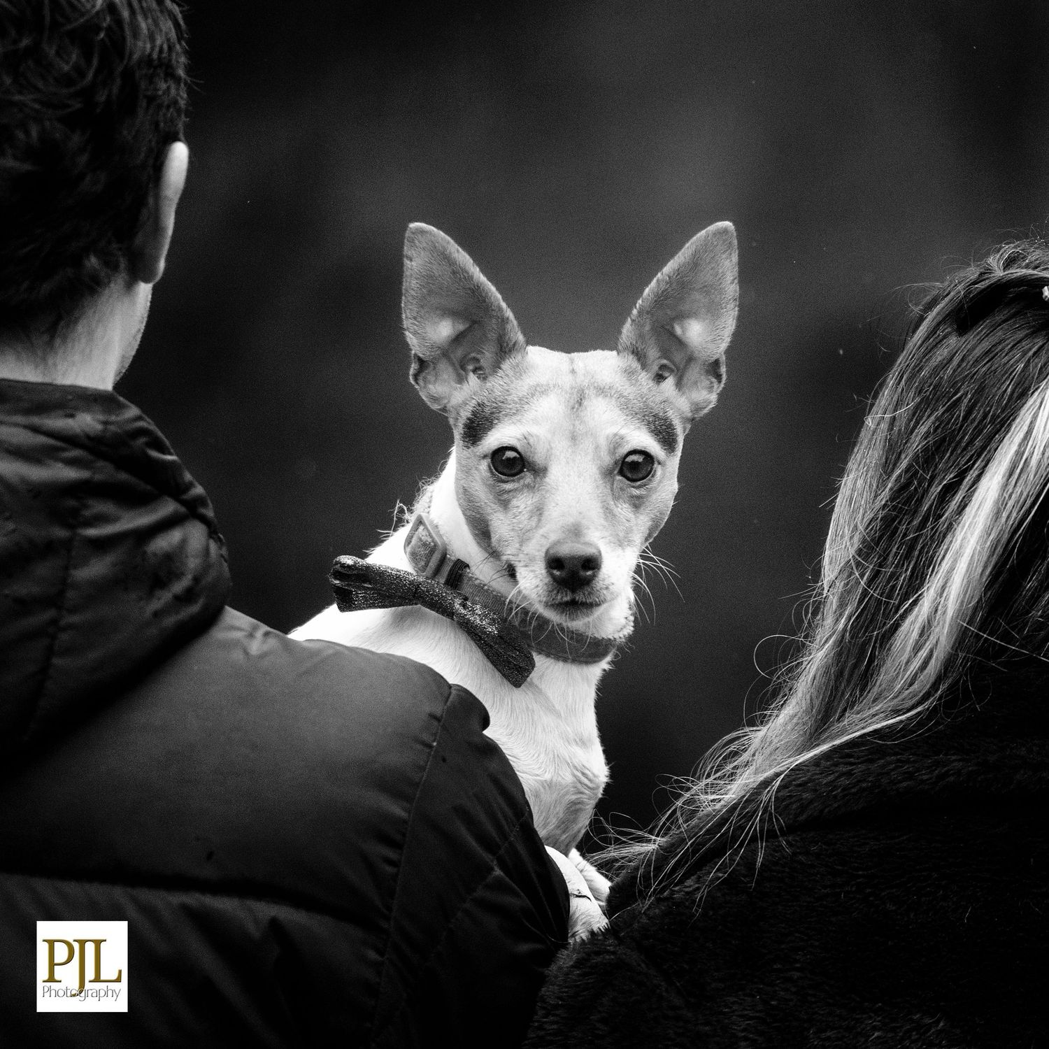 Natural dog and owner photo