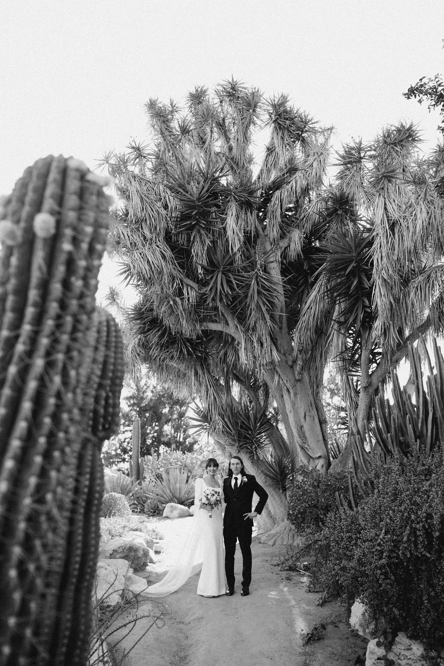 Candid wedding portrait of a couple framed by desert plants