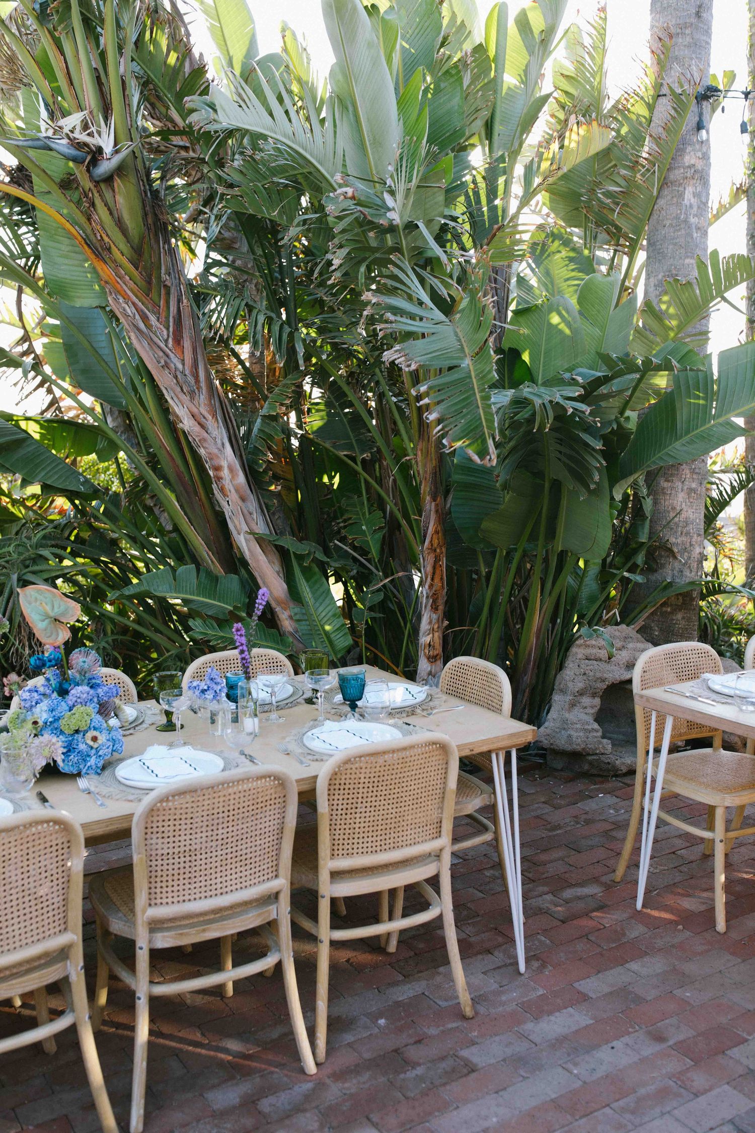 Outdoor wedding reception table setup surrounded by greenery