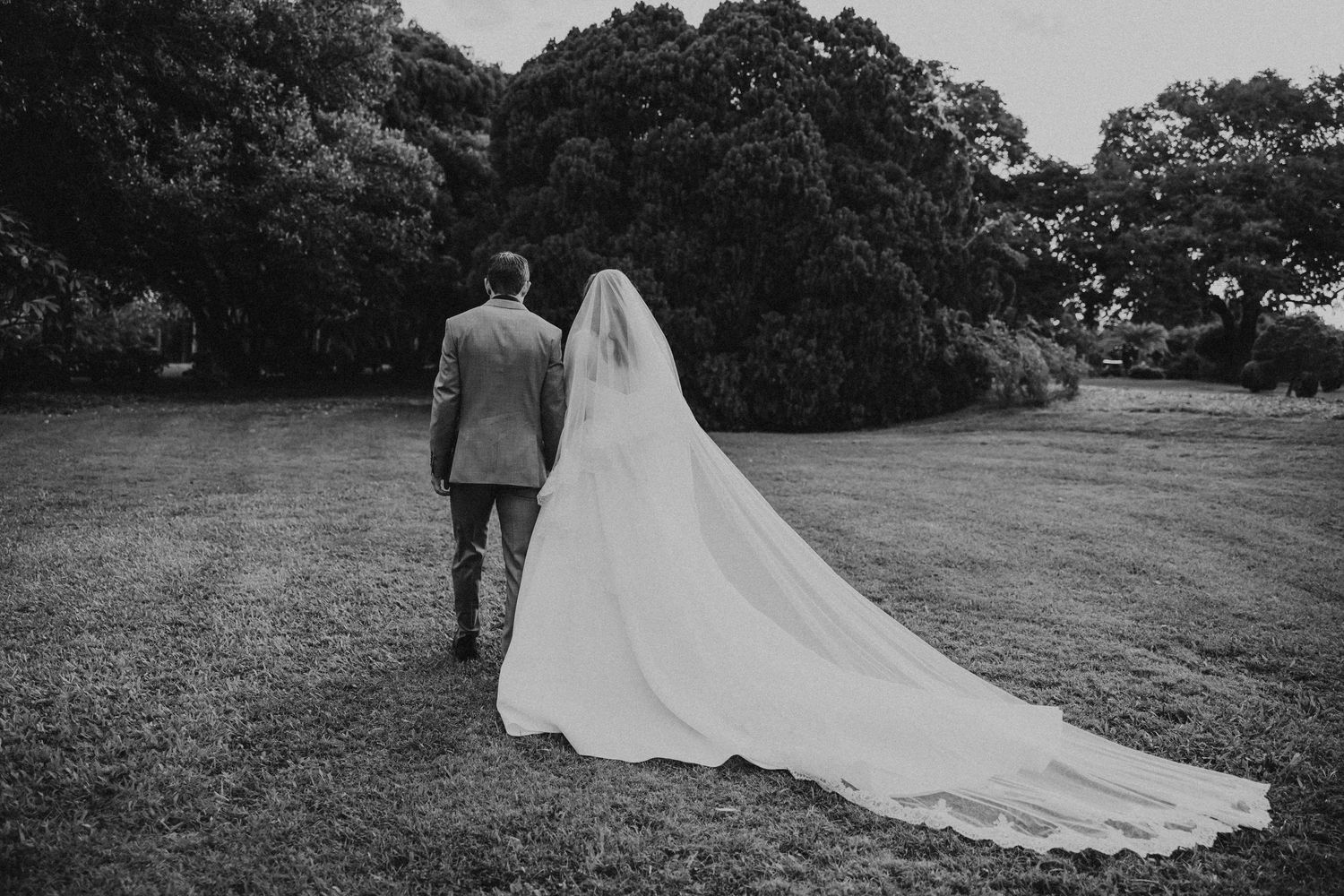 just married couple walking through gardens Central Queensland