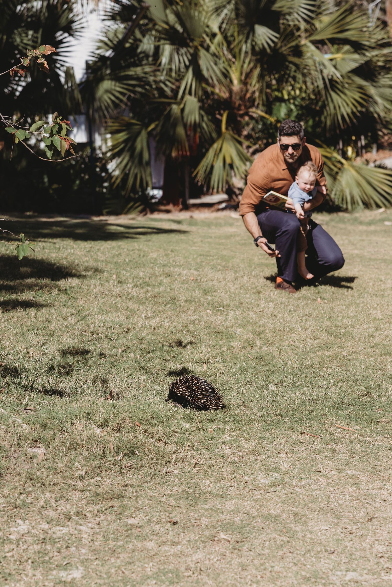 Photographer crouches on grassy lawn with palm trees in background.