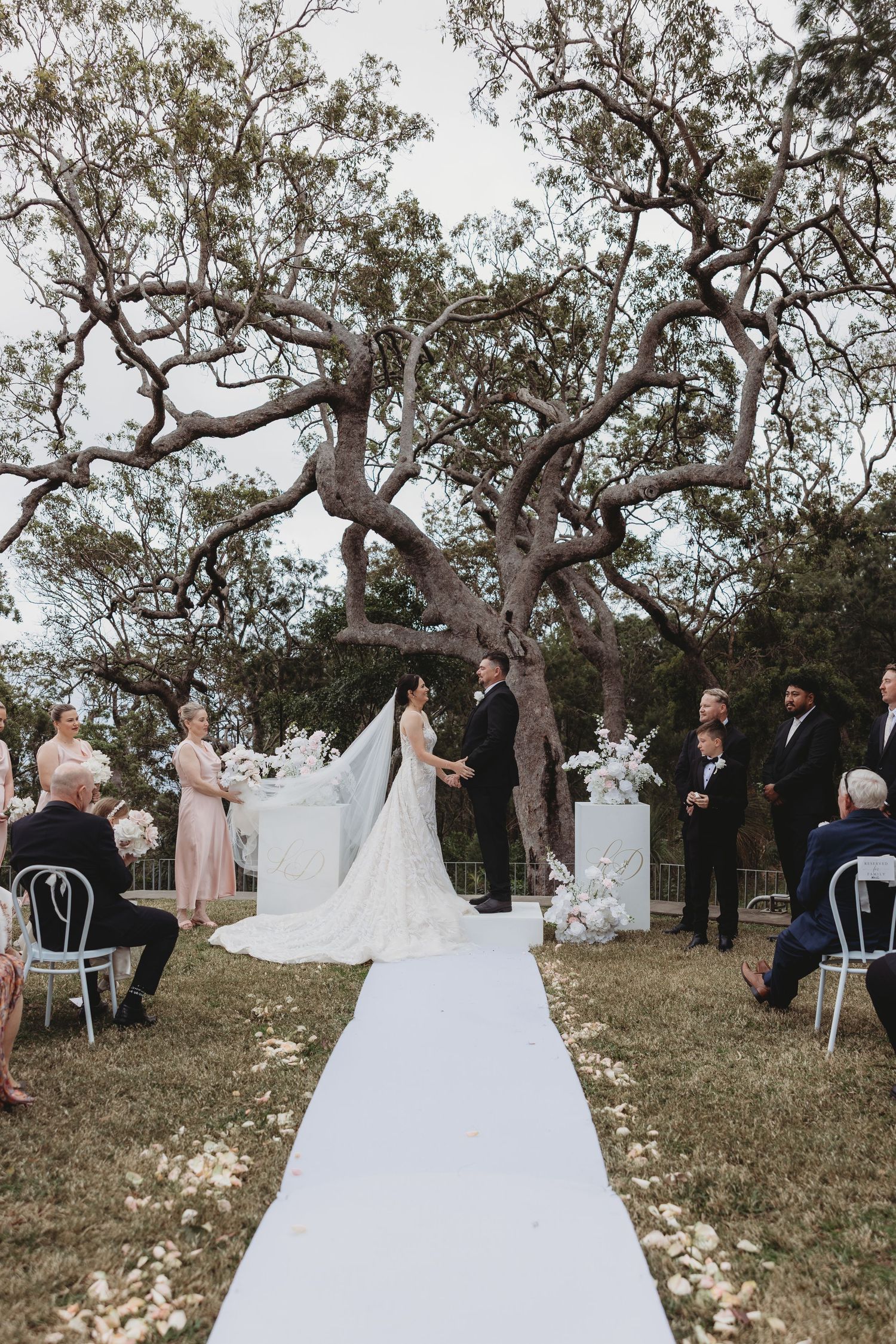Outdoor wedding ceremony under a large gnarled tree with white chairs and floral decorations.
