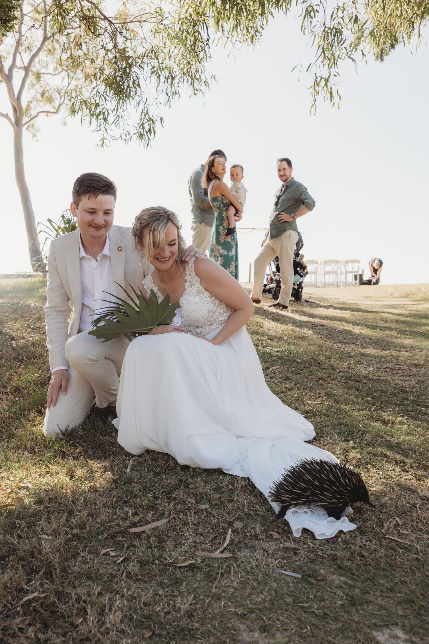 Wedding couple interacts playfully with a peacock on grassy hill during photo session.