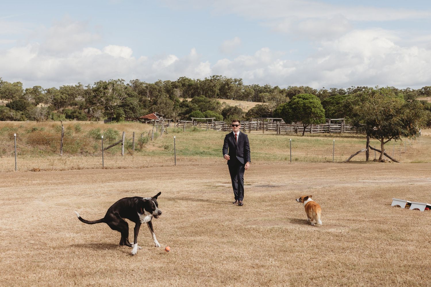 A man in a dark suit stands in an open field while two dogs play around him at an outdoor wedding venue.