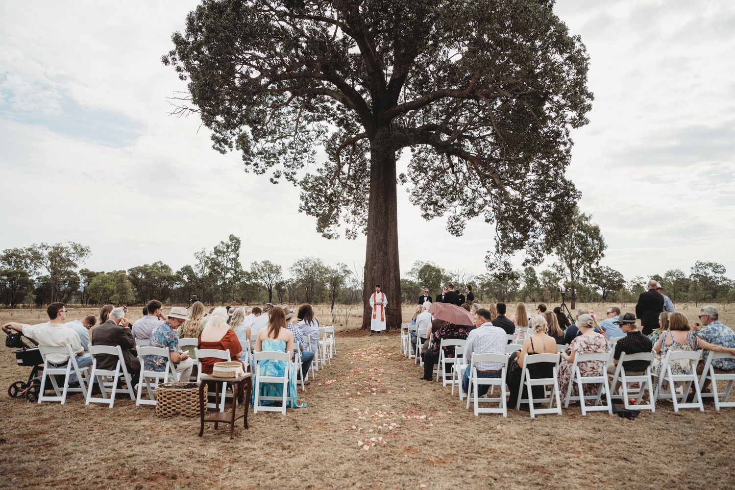 Outdoor wedding ceremony setup with white chairs under large tree.