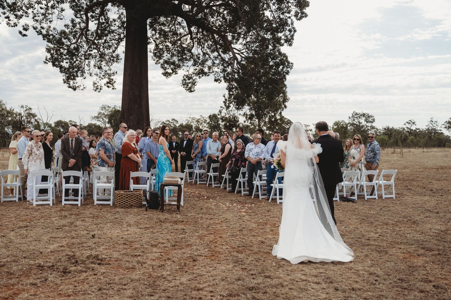Wedding ceremony in progress under large tree with guests seated on white chairs.