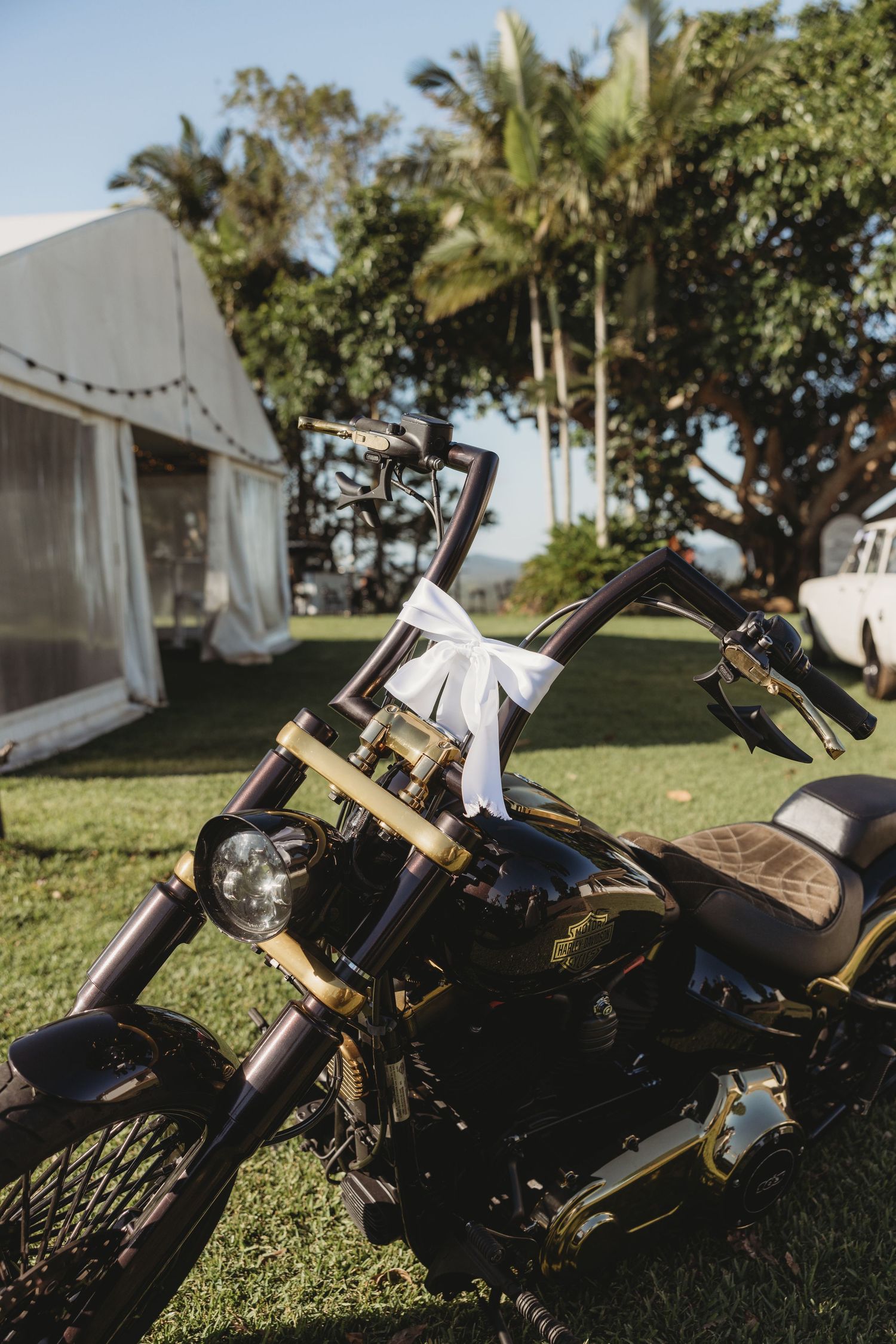Custom black motorcycle with gold accents parked on grass lawn during daytime.