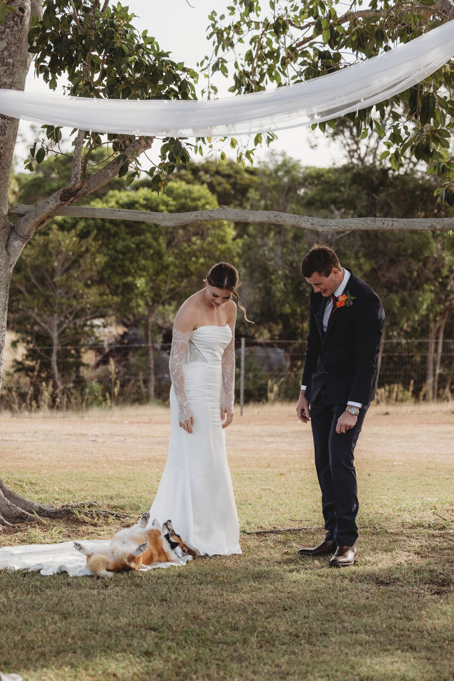 Bride and groom looking down at a corgi dog during outdoor wedding ceremony under draped tree.