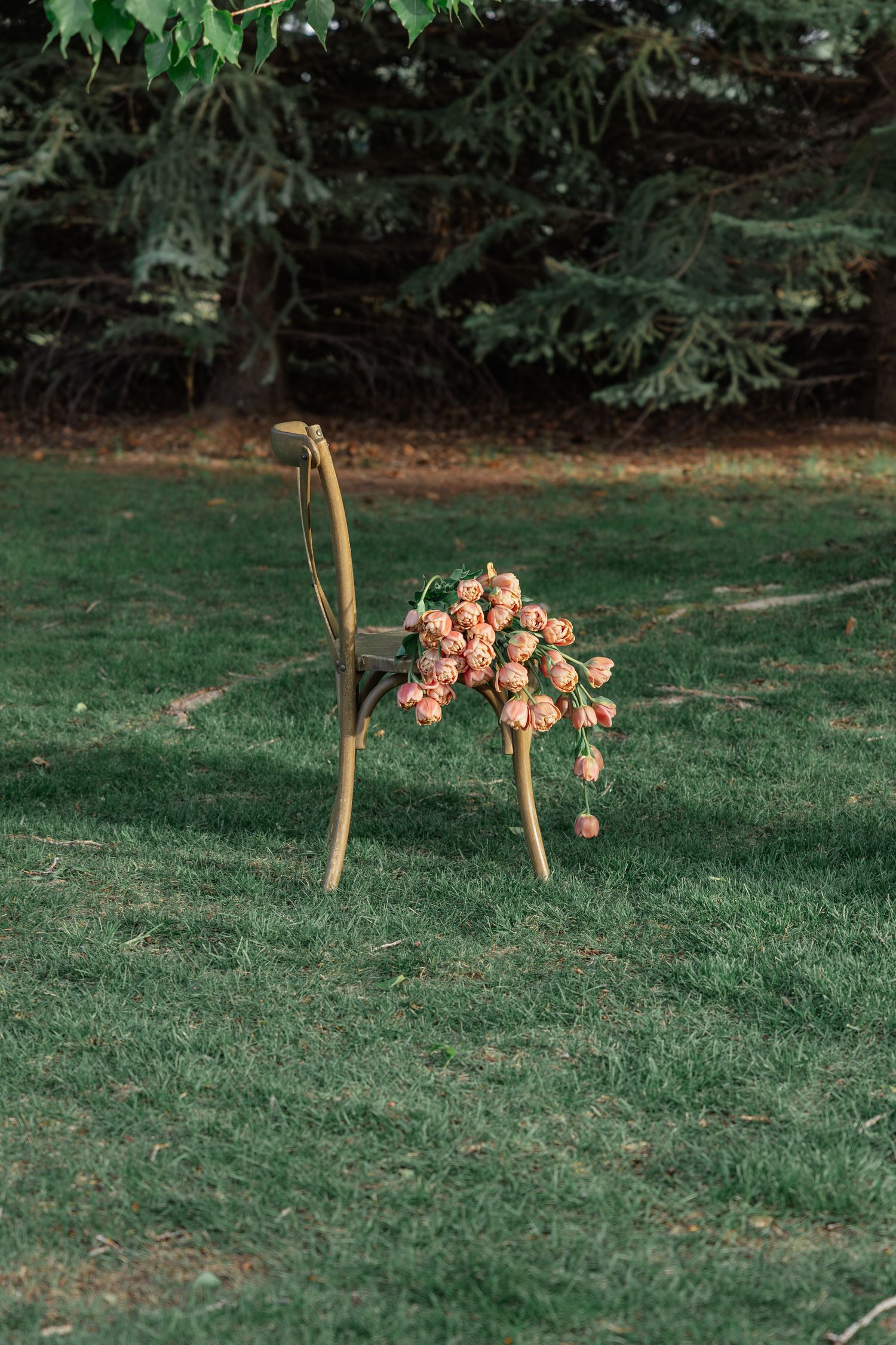 Single wooden cross-back chair decorated with small peach roses sitting alone on lush green grass in garden setting.