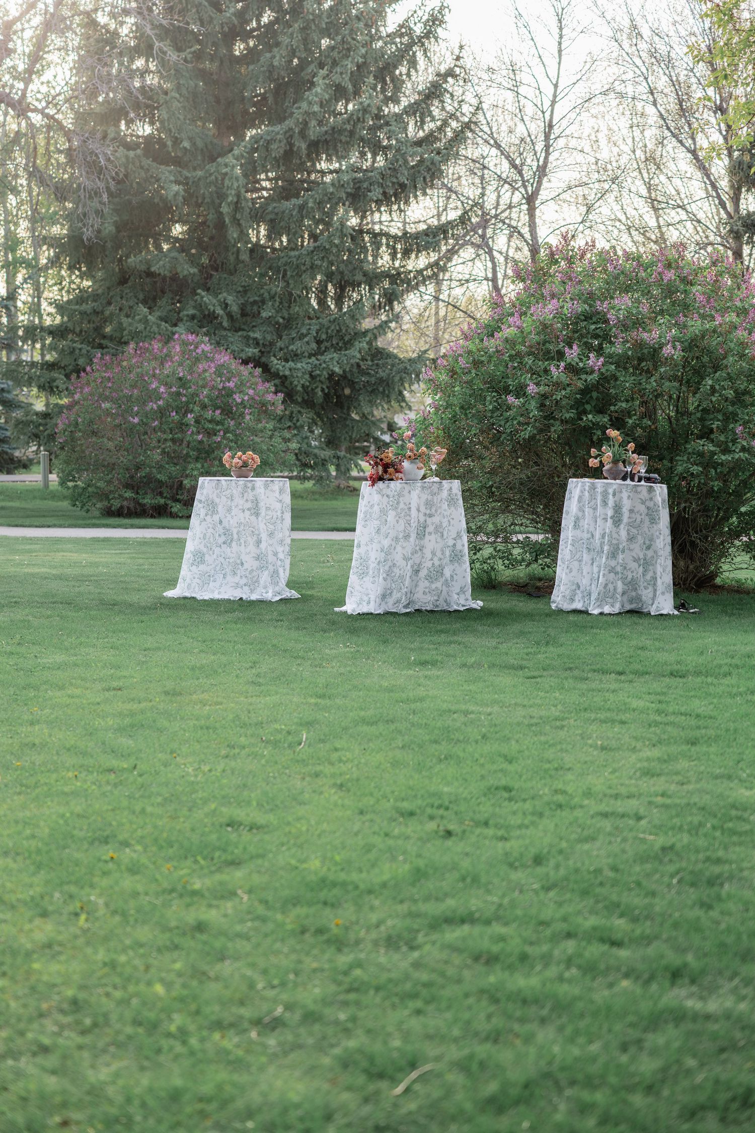 Three lace-draped cocktail tables arranged on a green lawn surrounded by blooming pink shrubs and evergreen trees.