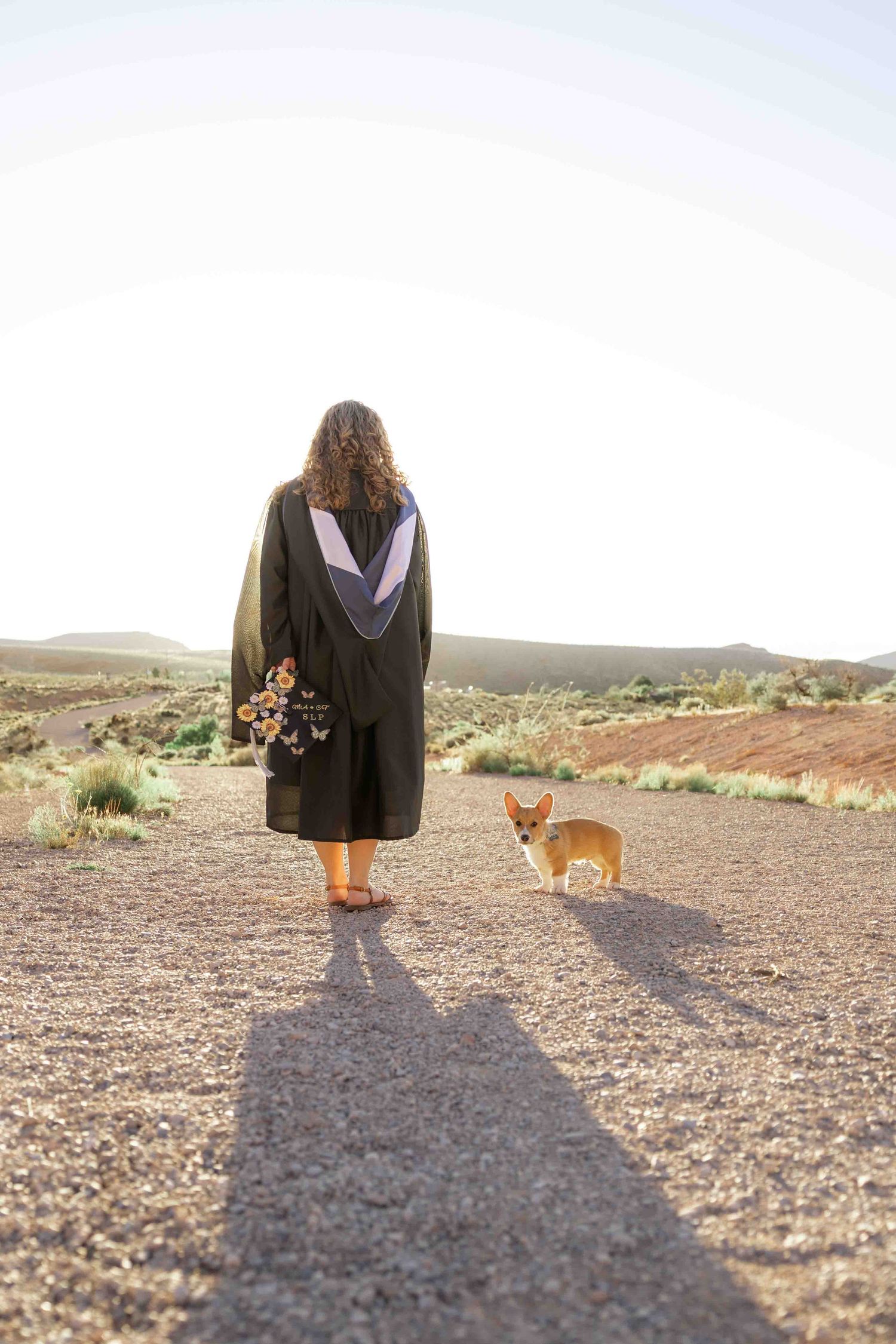Graduate in black gown holds flowers while standing on desert road with a small corgi dog at sunset.