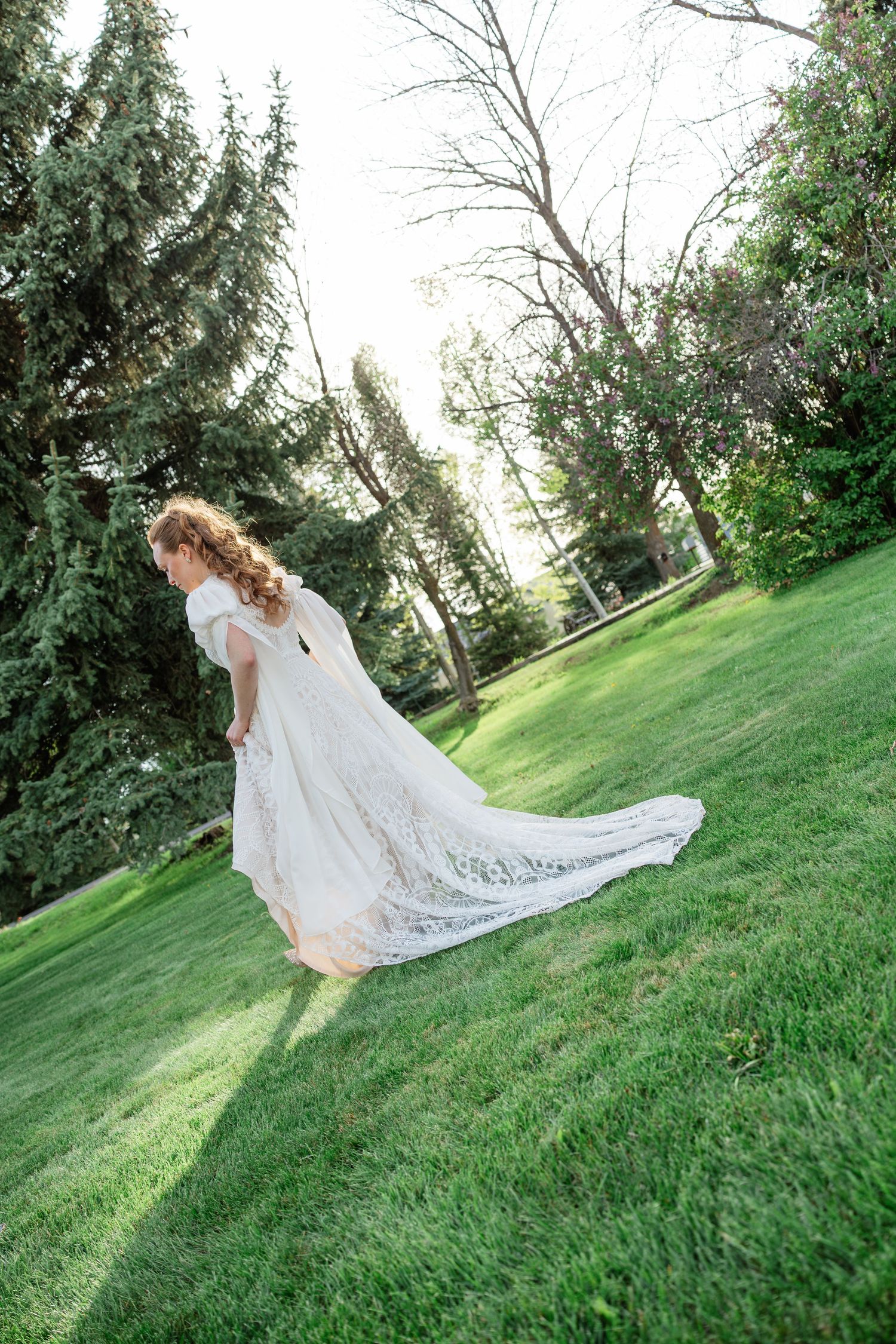 Bride in flowing lace wedding gown with long train walking across green lawn among tall evergreen trees.