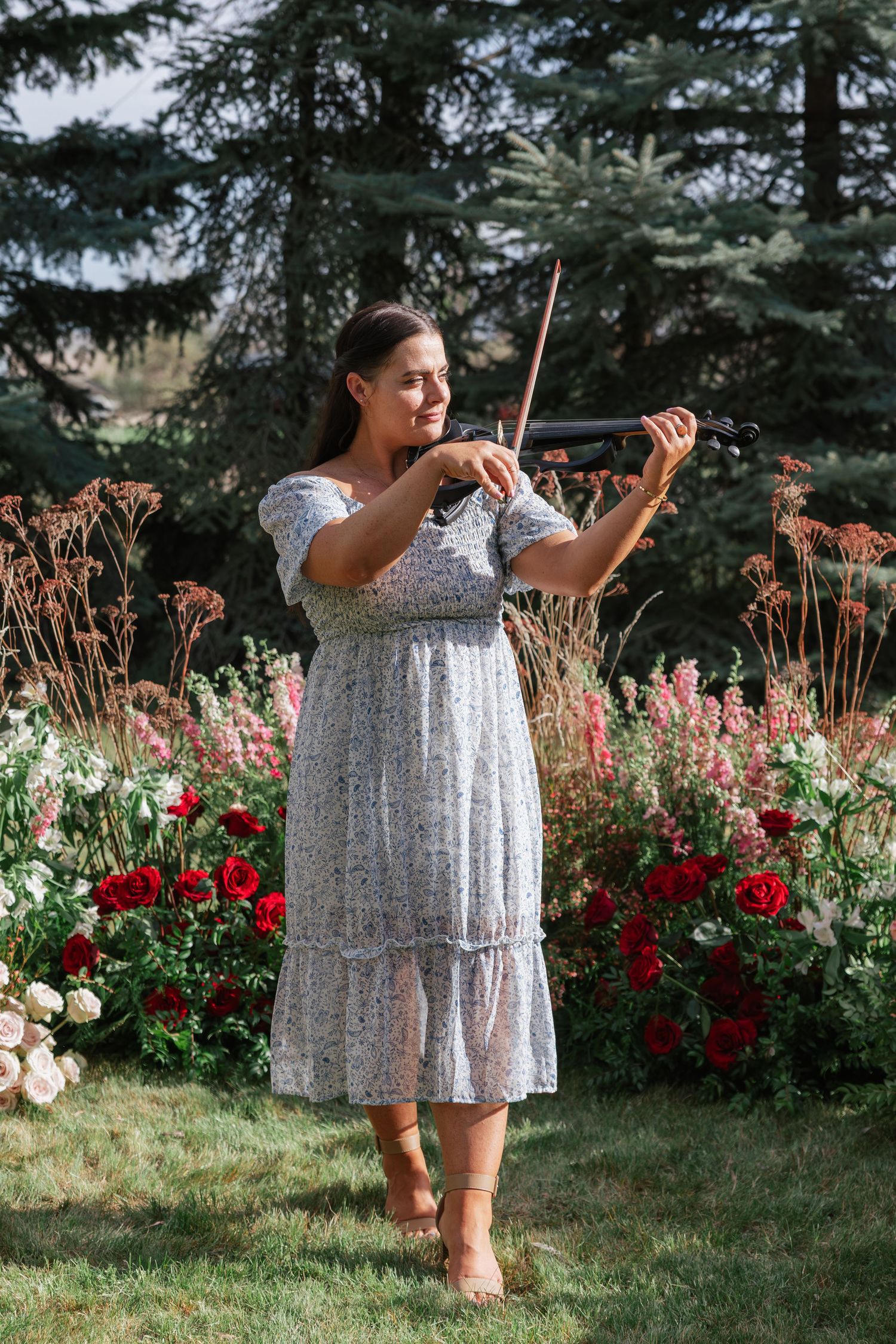 Woman in floral dress playing violin surrounded by vibrant garden roses and evergreen trees outdoors.