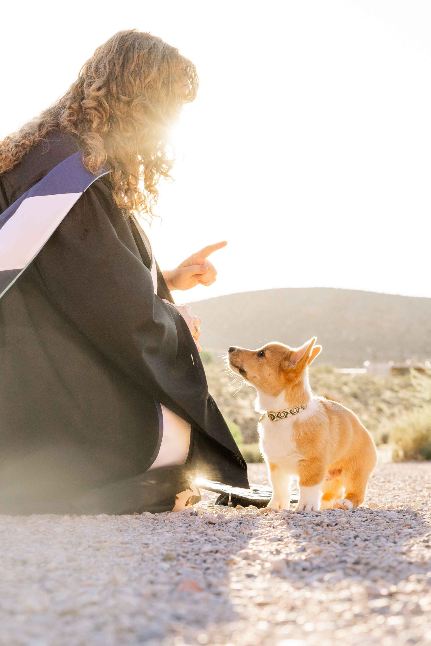A curly-haired woman in graduation gown points at an attentive Corgi puppy outdoors in golden sunlight.