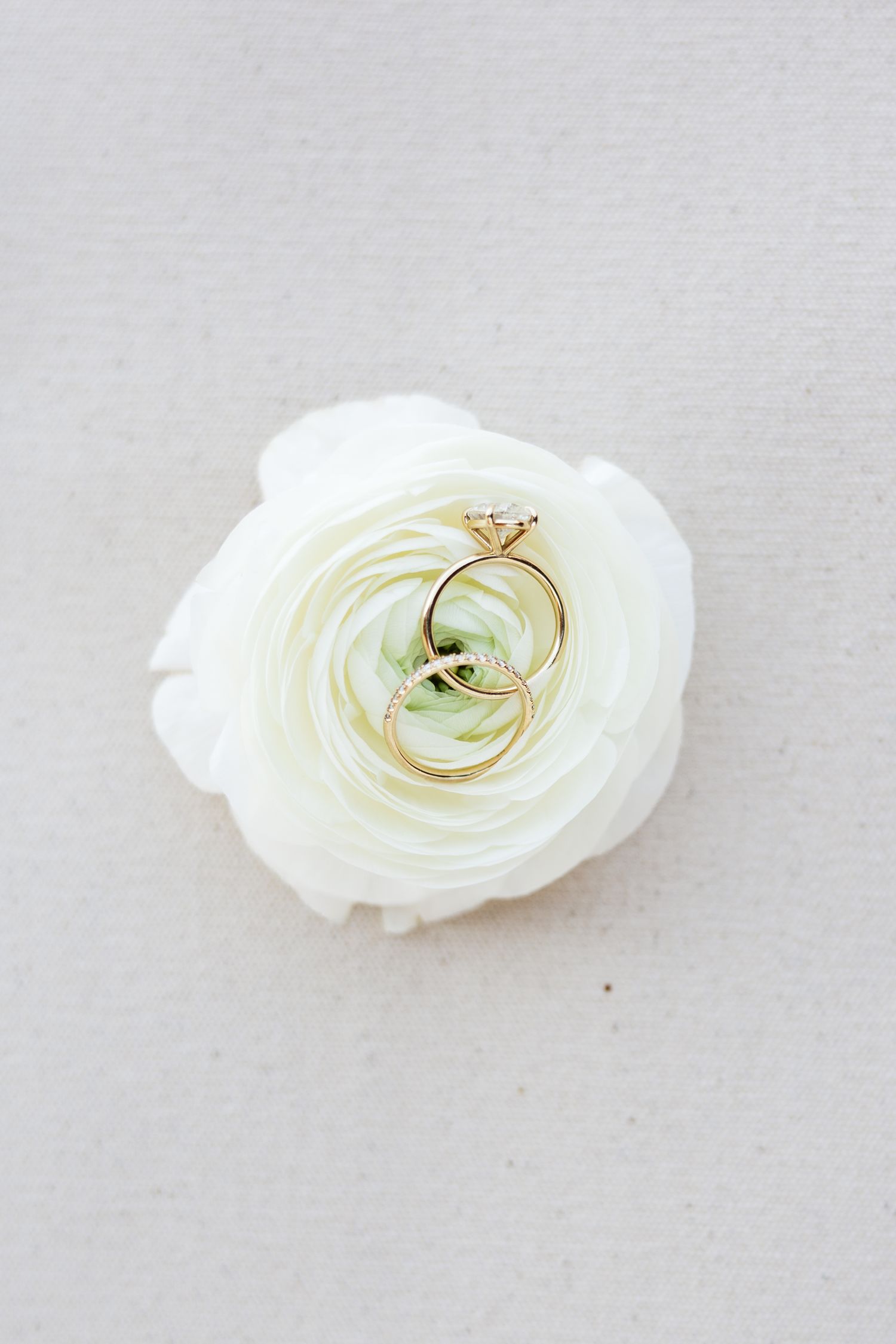 Gold wedding bands and diamond engagement ring resting on a white ranunculus flower on a neutral background.