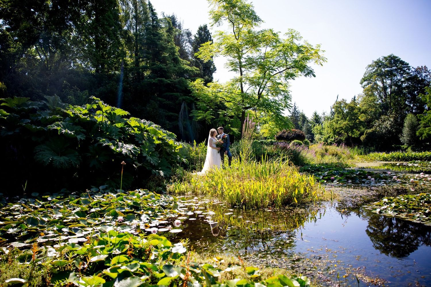 Serene pond landscape with lily pads and reflective water surrounded by lush greenery.