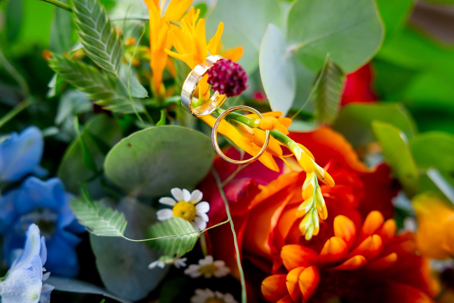 Vibrant garden flowers featuring yellow, orange and red blooms with green foliage.