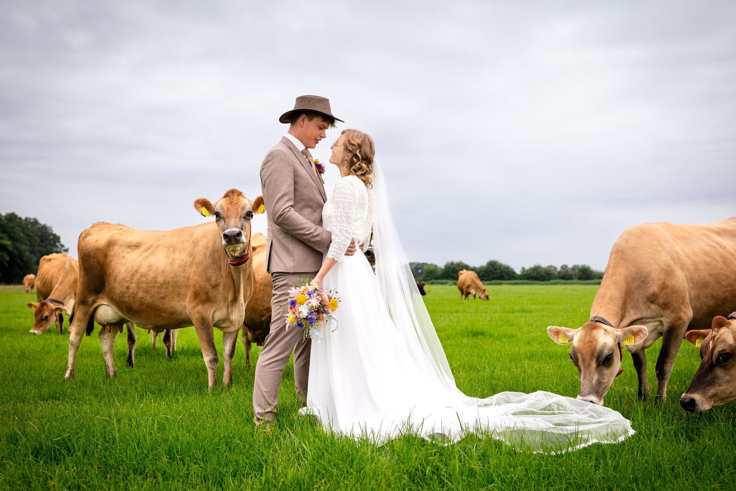 Bride and groom share a romantic moment in a green pasture surrounded by brown cows on their rustic farm wedding day.