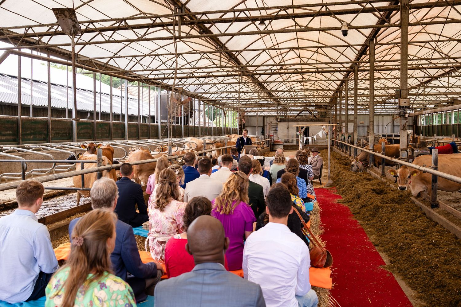 Wide view of wedding ceremony seating inside a barn with red carpet runner.