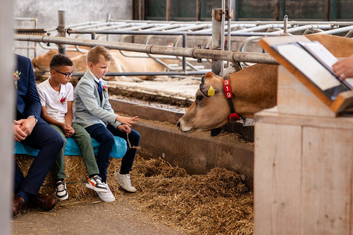 Young guests interact with a friendly cow through the barn stall fence.