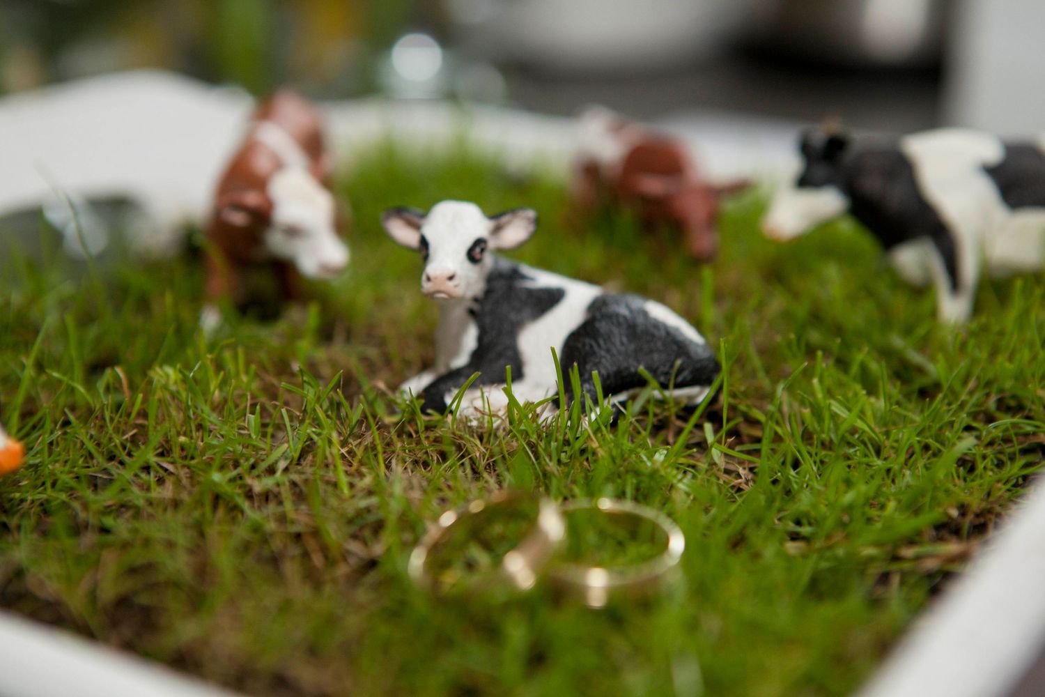 Miniature toy cows and farm animals arranged on green moss in a decorative display.