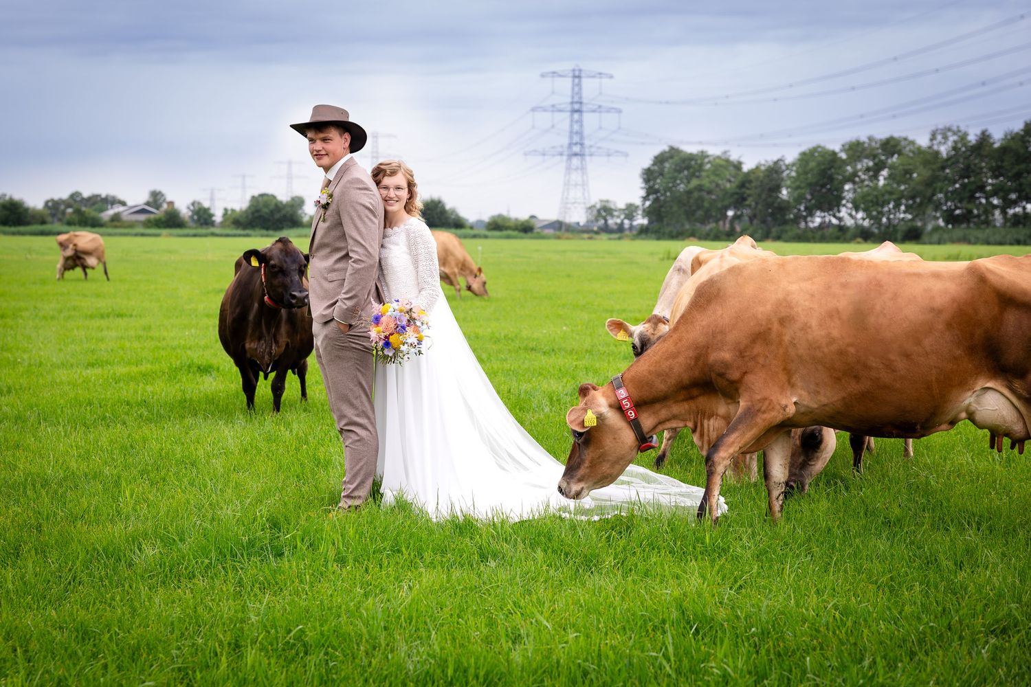 Wedding photography session in a pastoral field with dairy cows and farm equipment.