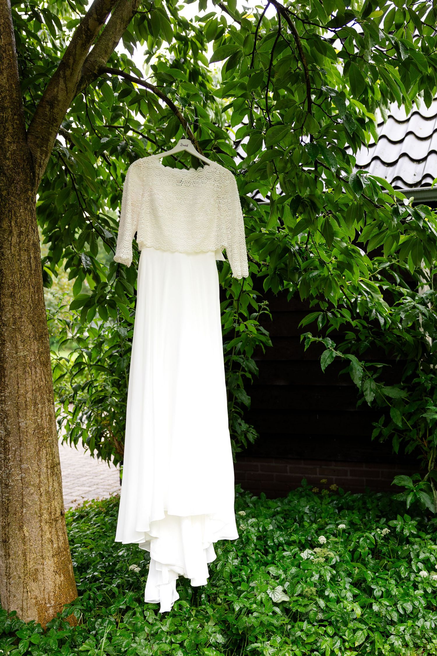 A white dress hanging from tree branches against lush green foliage.