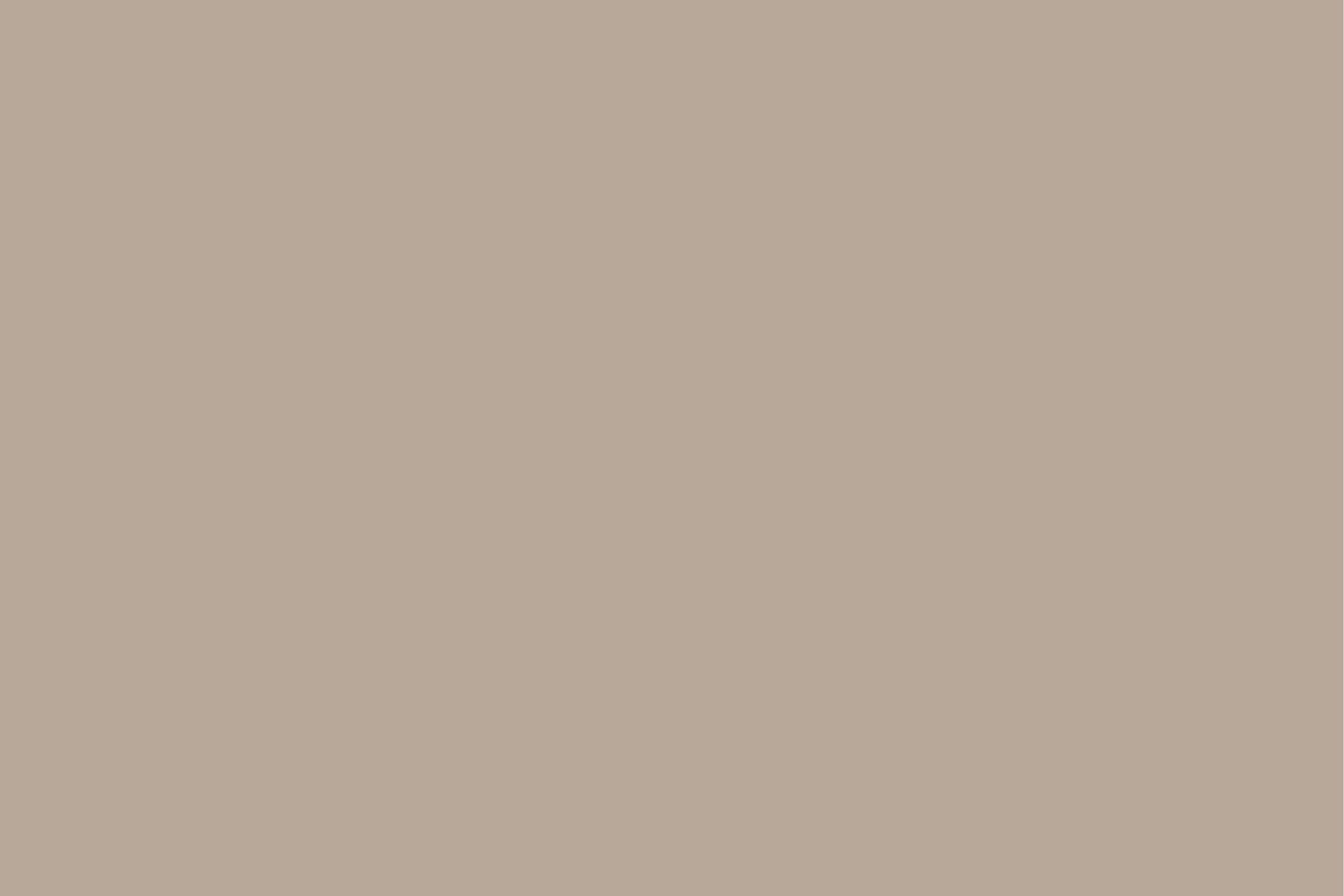 Solid beige colored background texture in neutral tone.