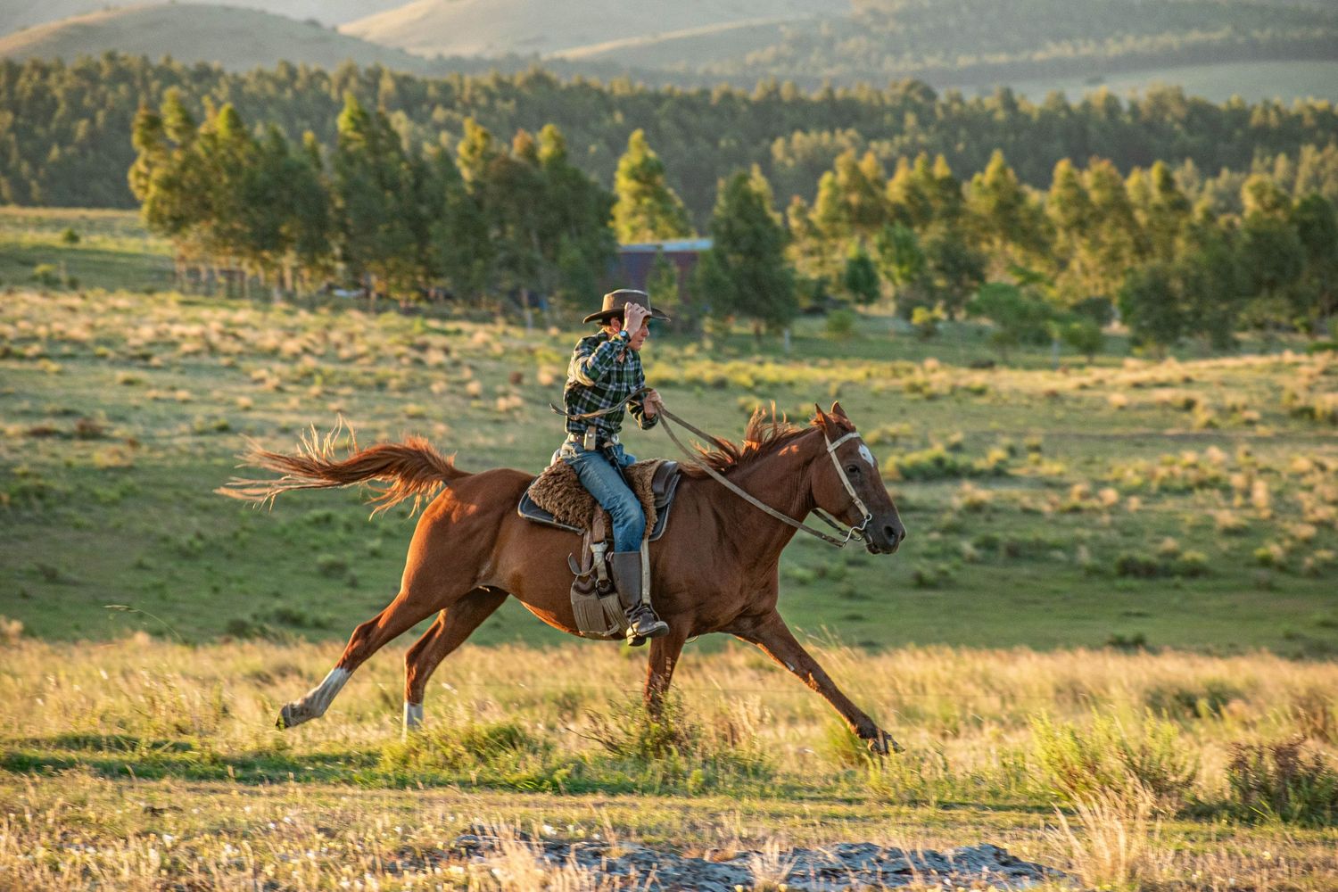 Cowboy galloping sunset horse landscape
