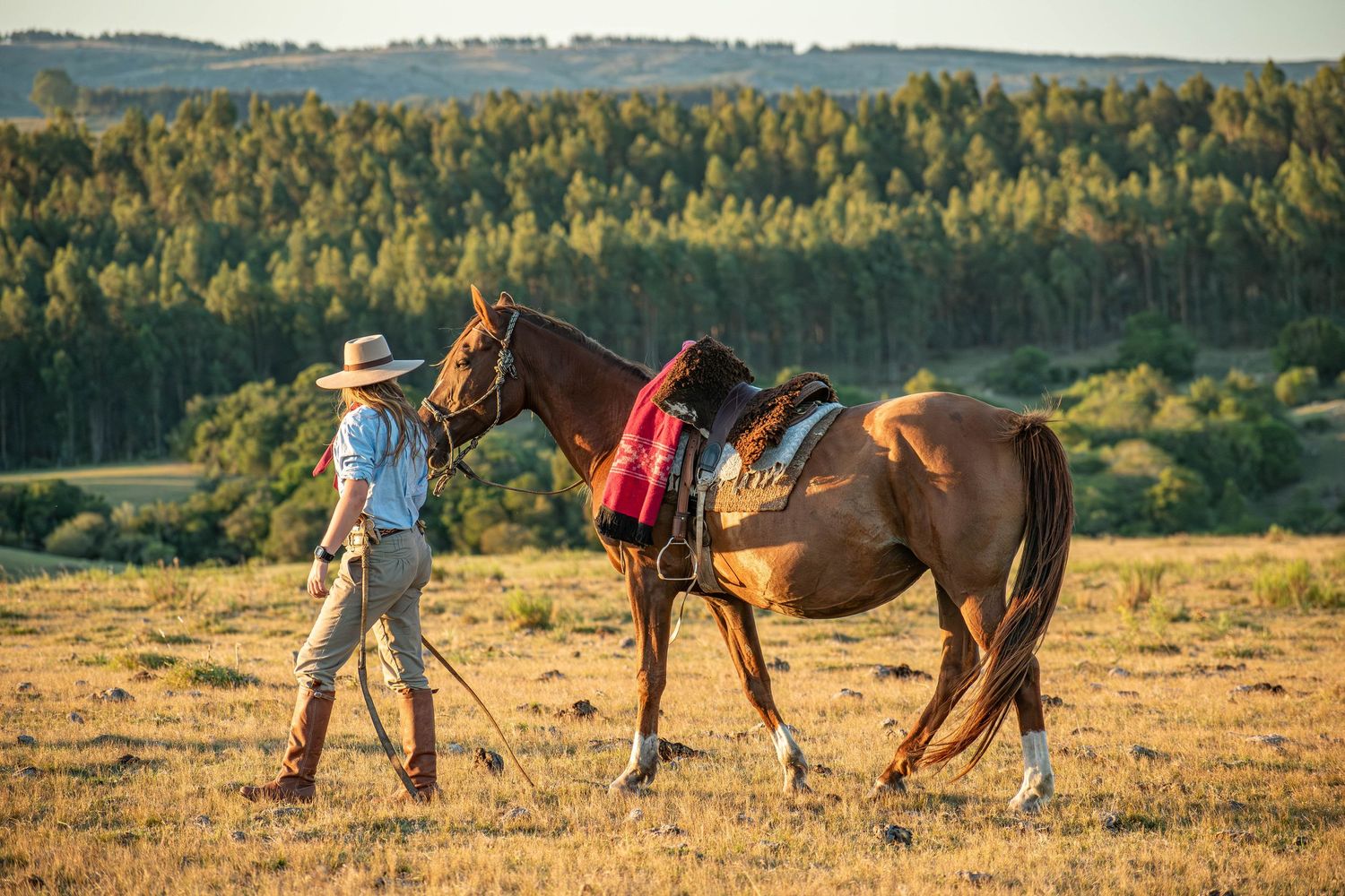 Sunset horse and rider landscape