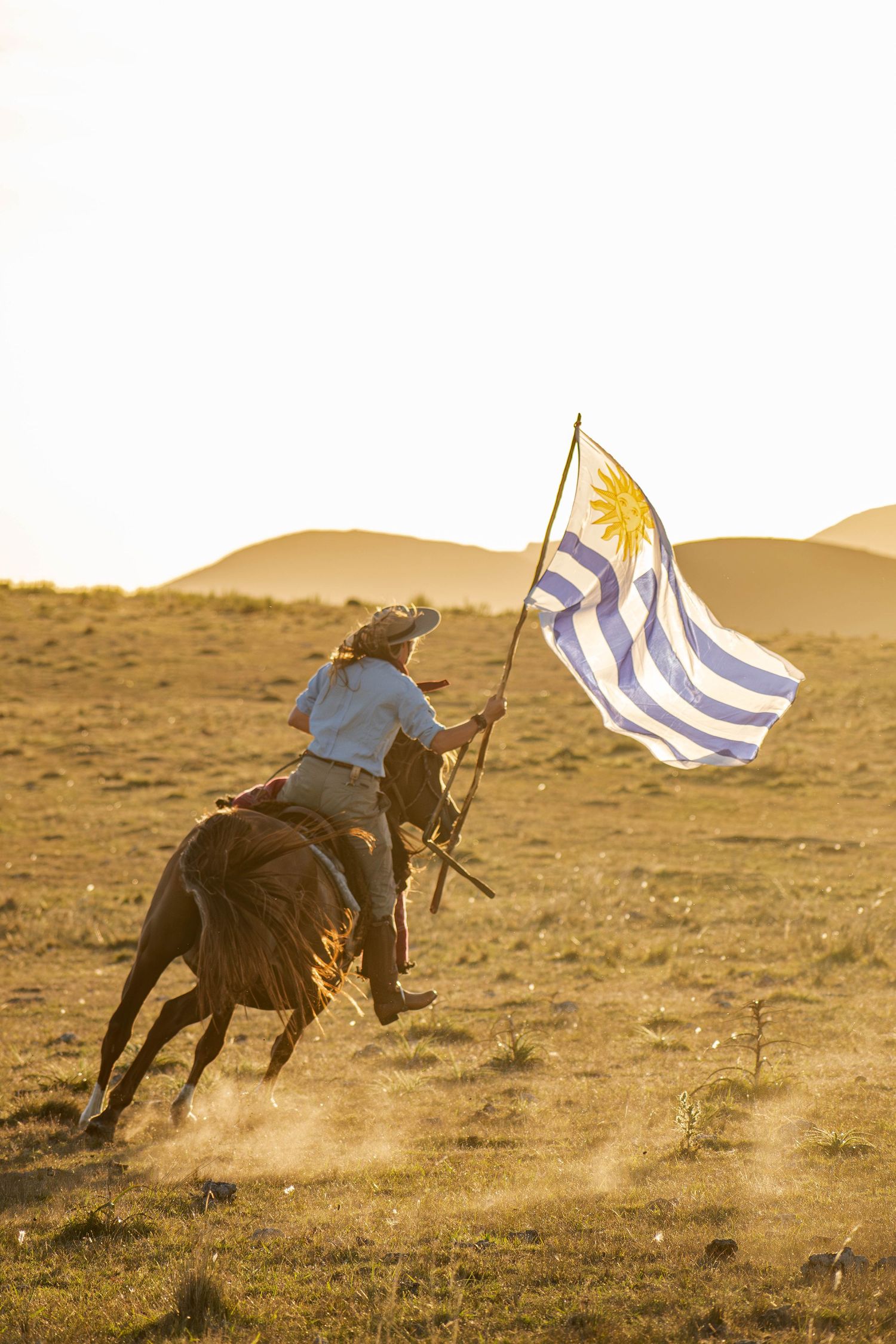 Uruguayan flag rider galloping