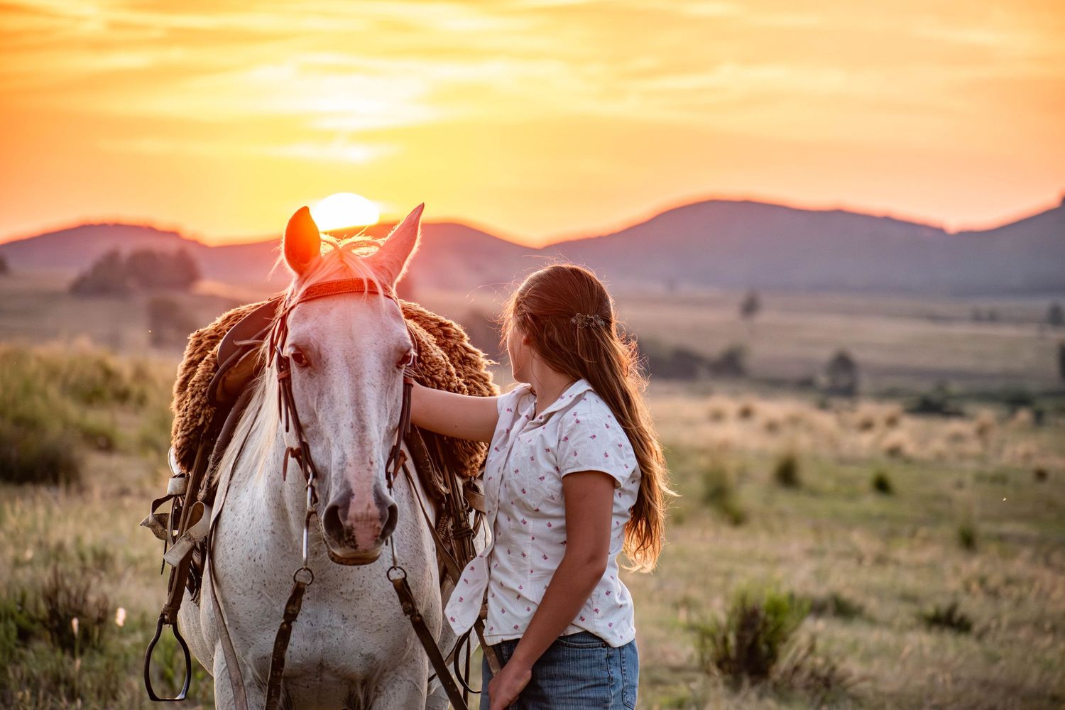 Girl and horse at sunset landscape