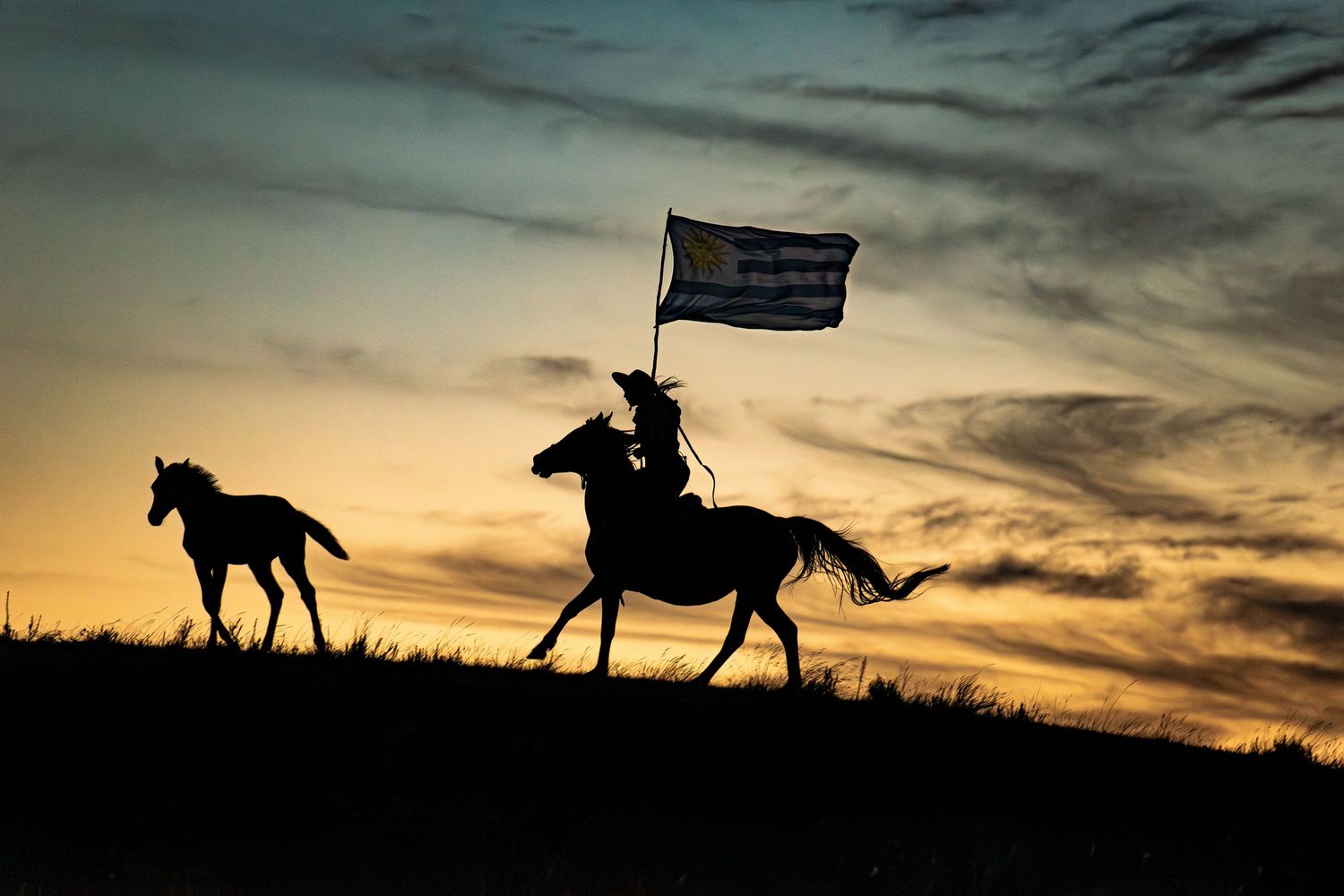 Silhouette equine galloping flag carrying
