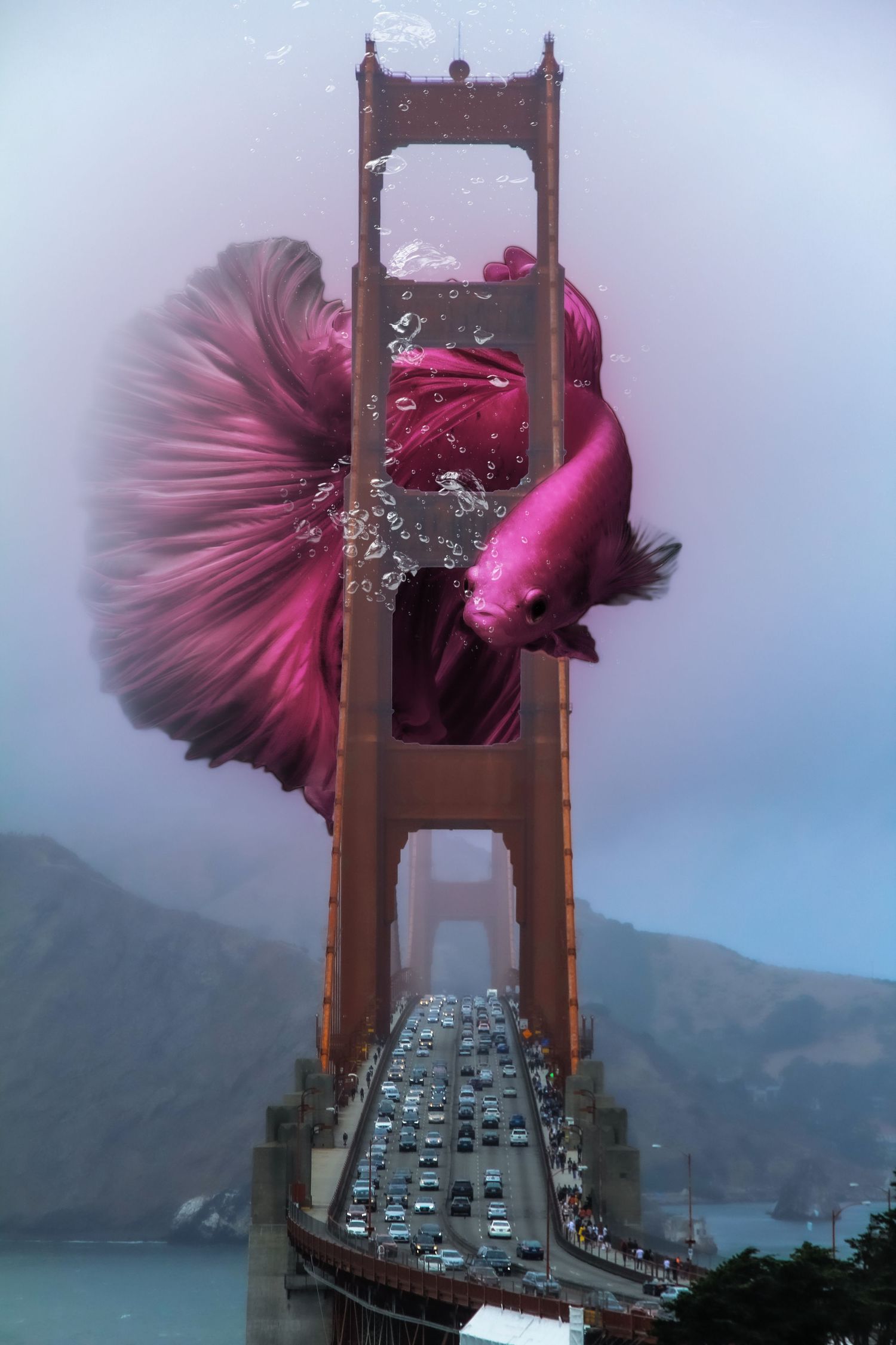 Pink smoke effect billowing through Golden Gate Bridge towers during rush hour traffic.