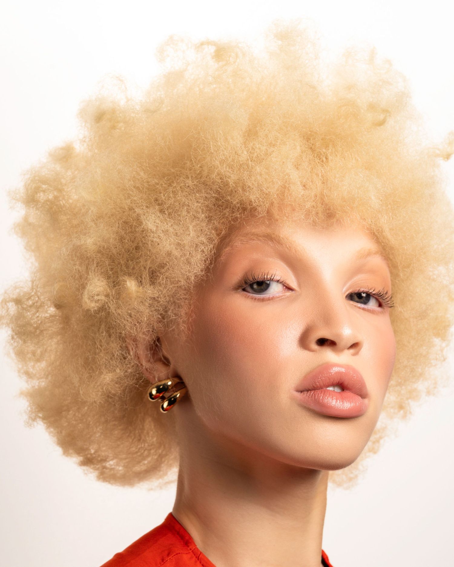 Beauty portrait featuring voluminous blonde afro hairstyle against white background.