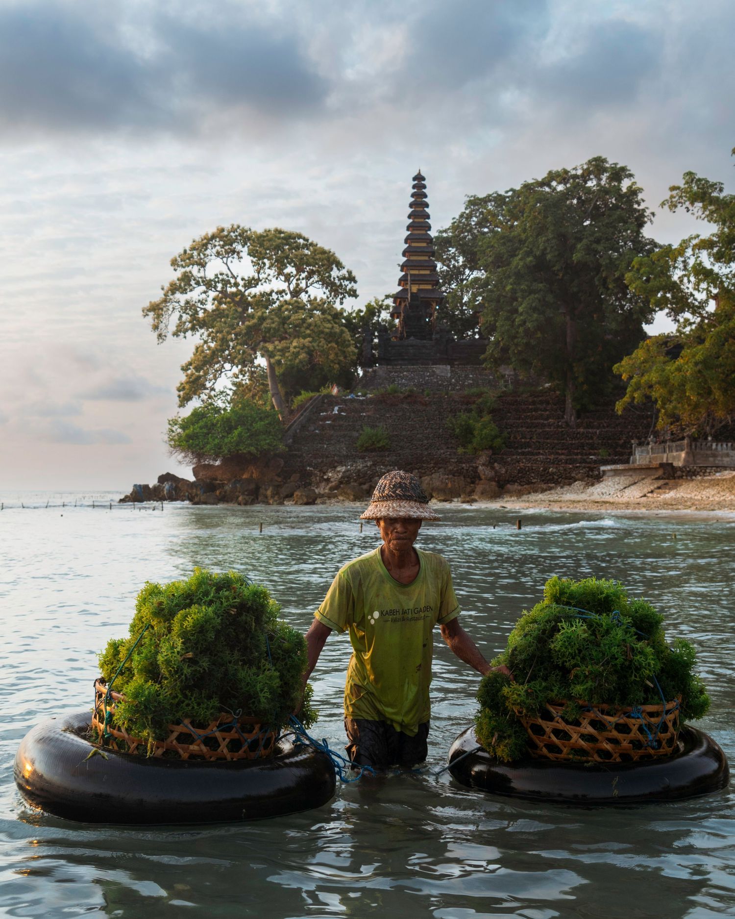 Local farmer wading through water with floating plant baskets near a temple in Bali.