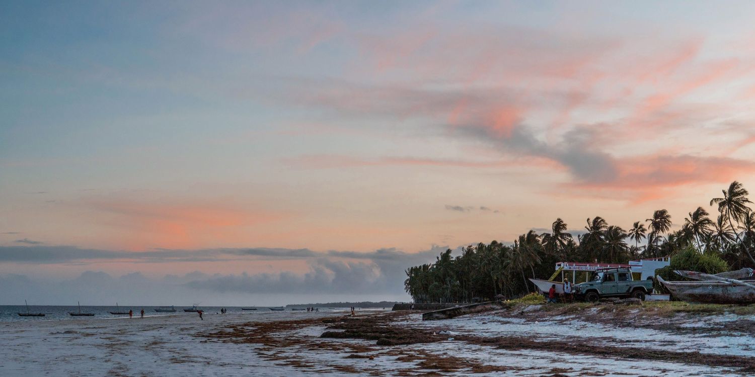 Stunning panoramic view of a beach at sunset with palm trees silhouetted against a colorful sky and ocean waves.