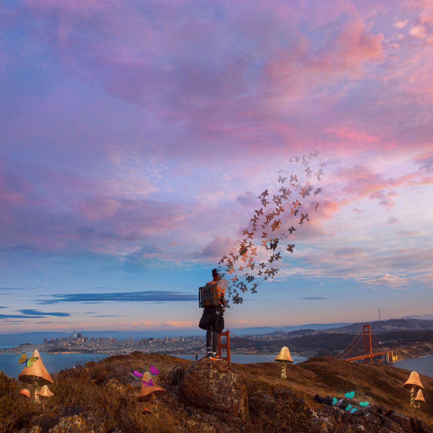 Panoramic view of San Francisco Bay Area at sunset with butterfly silhouettes in foreground.
