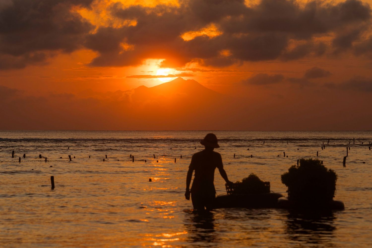 Silhouette of fisherman wading through water during dramatic orange sunset.